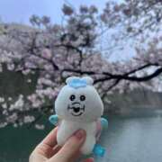 ヒメ日記 2025/04/11 10:25 投稿 ナナミ チューリップ福井別館