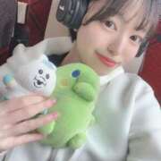 ヒメ日記 2025/04/18 08:35 投稿 ナナミ チューリップ福井別館