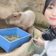 ヒメ日記 2025/05/17 20:34 投稿 ナナミ チューリップ福井別館