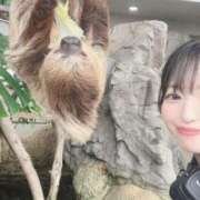 ナナミ 🦥🦥🦥 チューリップ福井別館