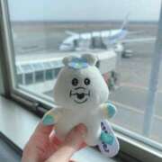 ヒメ日記 2025/04/10 08:40 投稿 ナナミ チューリップ福井本館