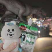 ヒメ日記 2025/04/12 06:51 投稿 ナナミ チューリップ福井本館