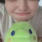 ヒメ日記 2025/04/13 07:24 投稿 ナナミ チューリップ福井本館