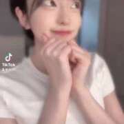 ヒメ日記 2025/04/14 08:04 投稿 ナナミ チューリップ福井本館