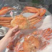 ヒメ日記 2025/04/20 11:25 投稿 ナナミ チューリップ福井本館