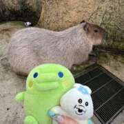 ヒメ日記 2025/05/18 17:02 投稿 ナナミ チューリップ福井本館