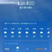 ヒメ日記 2025/05/21 08:24 投稿 ナナミ チューリップ福井本館