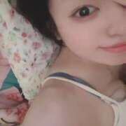 ヒメ日記 2025/05/22 07:34 投稿 ナナミ チューリップ福井本館