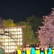 ヒメ日記 2025/03/21 22:25 投稿 野中さとみ ワイフコレクション