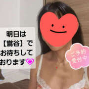 ヒメ日記 2025/03/23 20:49 投稿 野中さとみ ワイフコレクション