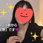 ヒメ日記 2025/03/27 15:12 投稿 野中さとみ ワイフコレクション