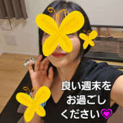 ヒメ日記 2025/04/13 00:06 投稿 野中さとみ ワイフコレクション