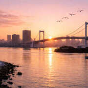 ヒメ日記 2026/02/19 13:05 投稿 野中さとみ ワイフコレクション