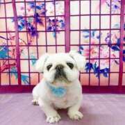 みゆ こんにちわ🍀 完熟ばなな西川口