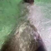 ヒメ日記 2025/03/29 20:51 投稿 きこ♡10代経験極少♡美女 ラブチャンス(福岡)