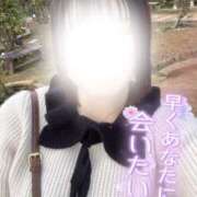 ヒメ日記 2025/11/23 09:45 投稿 ことは Masquerade(マスカレード)