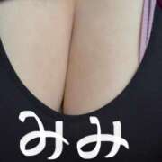 ヒメ日記 2025/04/09 17:48 投稿 みみ♡AV出演歴有の希少ミケポ♡ 富山高岡ちゃんこ