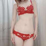 ヒメ日記 2025/04/28 11:30 投稿 ひまり 西船人妻花壇