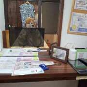 ヒメ日記 2025/10/16 15:21 投稿 ひまり 西船人妻花壇