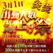 ヒメ日記 2026/02/26 20:07 投稿 りさ 奥鉄オクテツ大阪