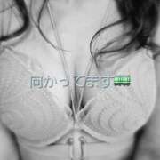 ヒメ日記 2026/03/02 11:15 投稿 りさ 奥鉄オクテツ大阪