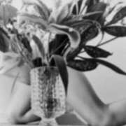 ヒメ日記 2026/03/07 08:44 投稿 りさ 奥鉄オクテツ大阪