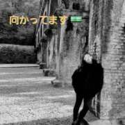 ヒメ日記 2026/03/12 10:14 投稿 りさ 奥鉄オクテツ大阪