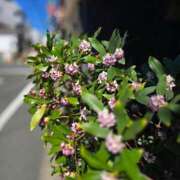 ヒメ日記 2026/03/12 14:30 投稿 りさ 奥鉄オクテツ大阪