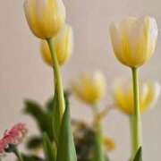 ヒメ日記 2026/03/17 11:28 投稿 りさ 奥鉄オクテツ大阪