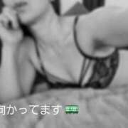 ヒメ日記 2026/03/20 15:23 投稿 りさ 奥鉄オクテツ大阪