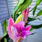 ヒメ日記 2026/03/27 10:00 投稿 りさ 奥鉄オクテツ大阪