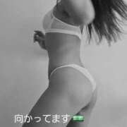 ヒメ日記 2026/03/28 09:26 投稿 りさ 奥鉄オクテツ大阪