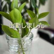 ヒメ日記 2026/04/02 14:10 投稿 りさ 奥鉄オクテツ大阪