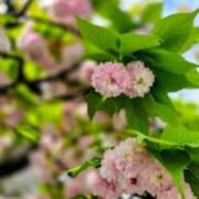 ヒメ日記 2026/04/14 12:25 投稿 りさ 奥鉄オクテツ大阪