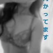 ヒメ日記 2026/04/16 09:45 投稿 りさ 奥鉄オクテツ大阪