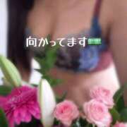 ヒメ日記 2026/04/29 12:16 投稿 りさ 奥鉄オクテツ大阪