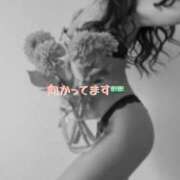 ヒメ日記 2026/05/06 11:25 投稿 りさ 奥鉄オクテツ大阪