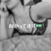ヒメ日記 2026/05/22 18:31 投稿 りさ 奥鉄オクテツ大阪