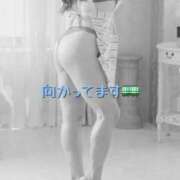 ヒメ日記 2026/05/23 14:15 投稿 りさ 奥鉄オクテツ大阪