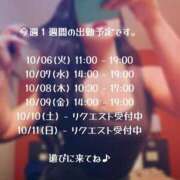 ヒメ日記 2026/10/06 12:03 投稿 りさ 奥鉄オクテツ大阪