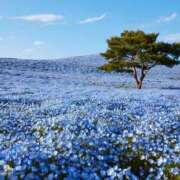 ヒメ日記 2025/05/10 12:19 投稿 かすみ 美人百華　宇都宮