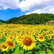 かすみ ※無題 美人百華　宇都宮