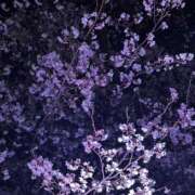 ヒメ日記 2026/03/31 14:00 投稿 ゆあ プールサイド