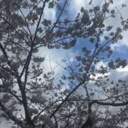 ゆあ 出勤！ プールサイド