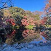 ヒメ日記 2025/03/31 15:54 投稿 るい アラモード