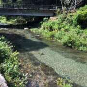 ヒメ日記 2025/04/02 08:58 投稿 るい アラモード