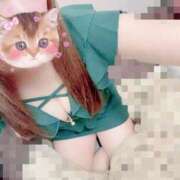 ヒメ日記 2025/10/09 06:31 投稿 るい アラモード