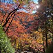 るい 予定など🍁 アラモード