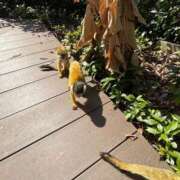 るい 出勤です🌺 アラモード