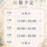 るい 予定です。 アラモード